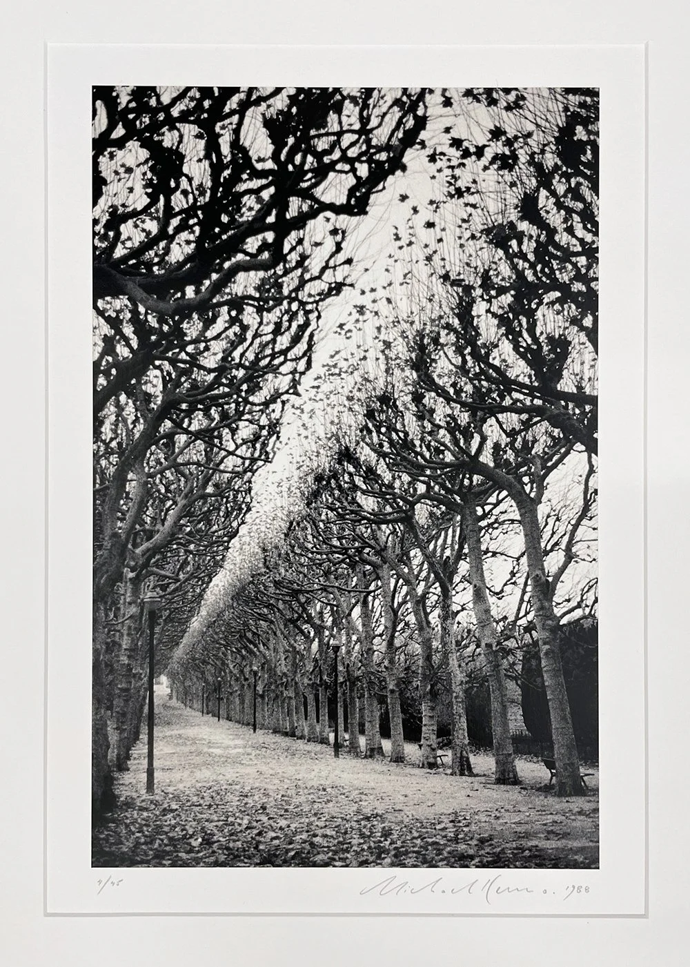 Michael Kenna: Jardin des Plantes, Study 1, Paris, France, 1988 — PDNB Gallery | Photographs Do Not Bend Gallery | Art Gallery in Dallas, Texas Michael Kenna: Jardin des Plantes, Study 1, Paris, France, 1988 — PDNB Gallery | Photographs Do Not Bend Gallery | Art Gallery in Dallas, Texas